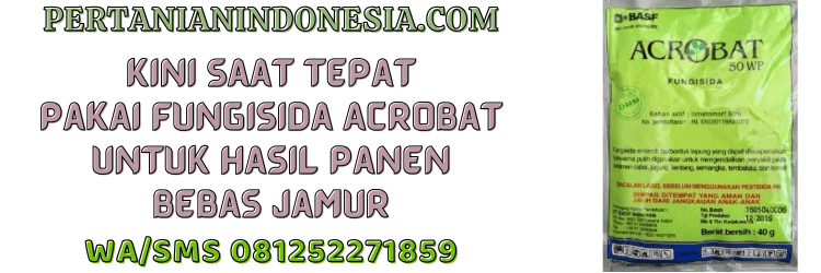 jual,murah,terjangkau,toko pertanian terdekat,pertanian indonesia